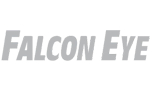 Falcon Eye Falcon Eye