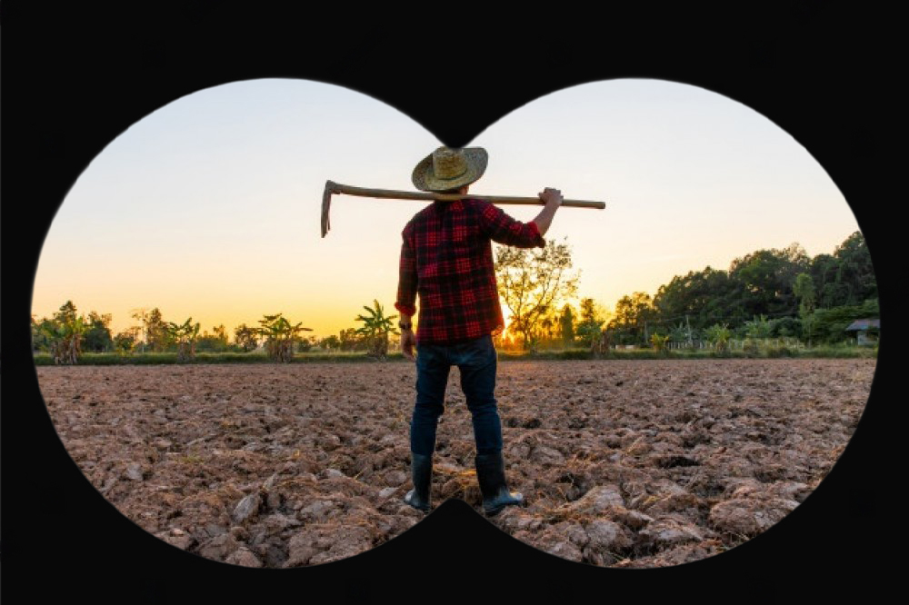 binoculars-farm-main.jpg