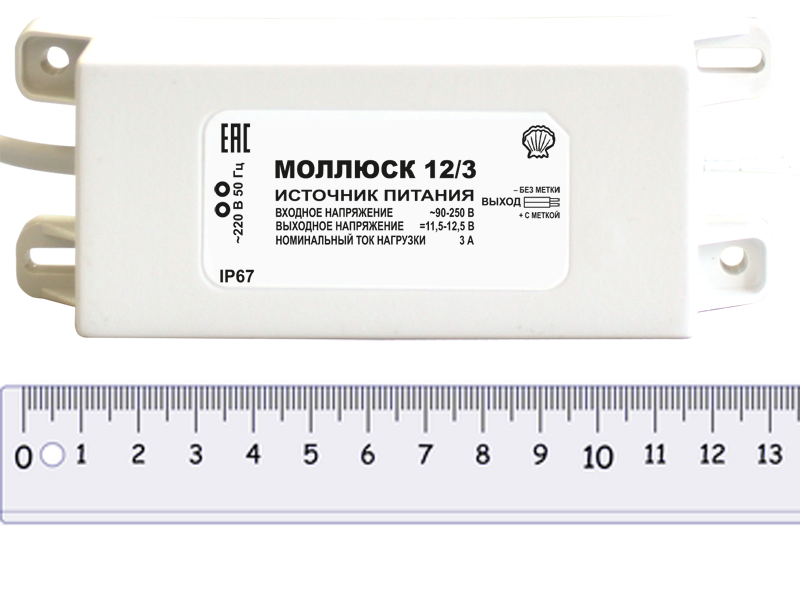 mollusk-12-3-line.png