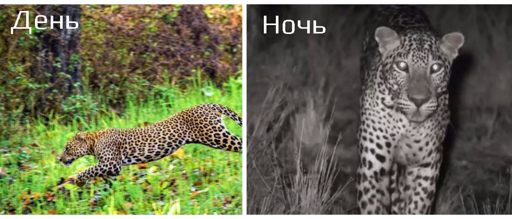CARCAM HC-350 M – уличная автоматическая Full HD камера, оснащенная GSM-модулем. Пример работы