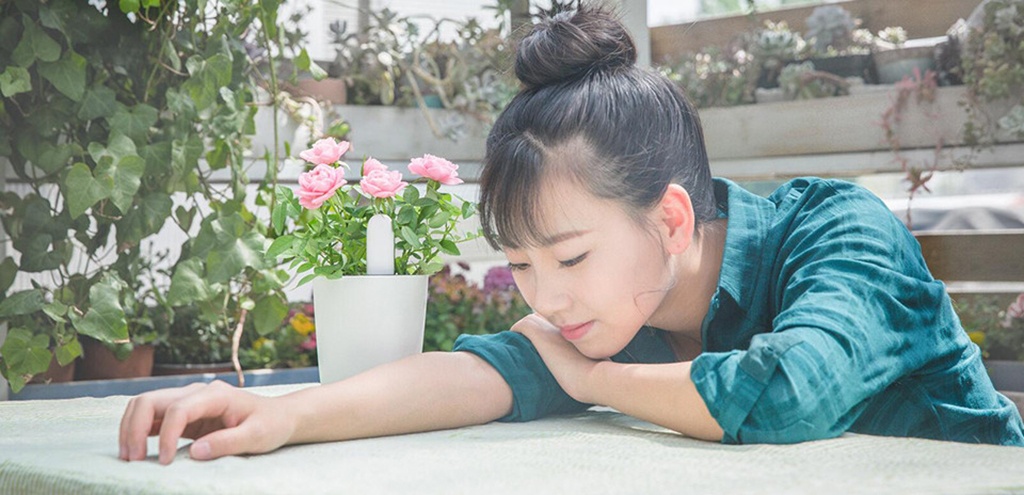 Анализатор почвы и освещенности Xiaomi Smart Flower Monitor - Термометр