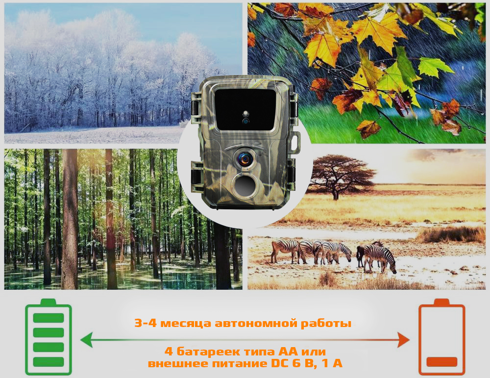 Mini600Аavtonomnyraboty.jpg