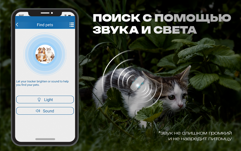поиск по свету и звуку.png