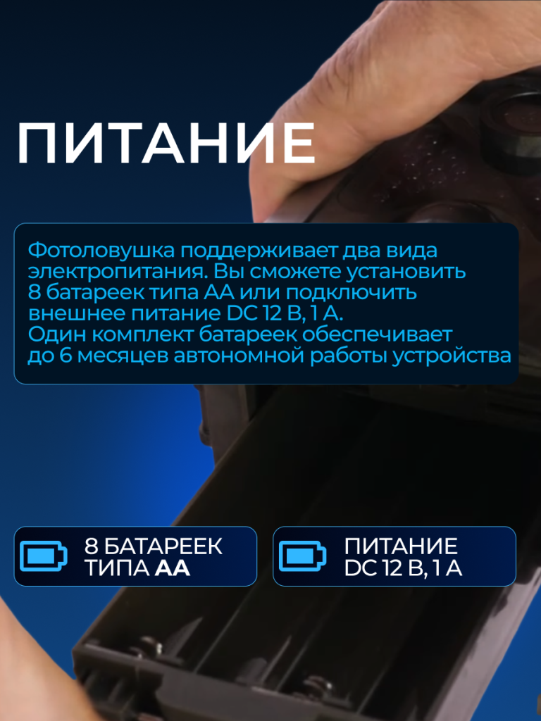 6930878737323 6.png