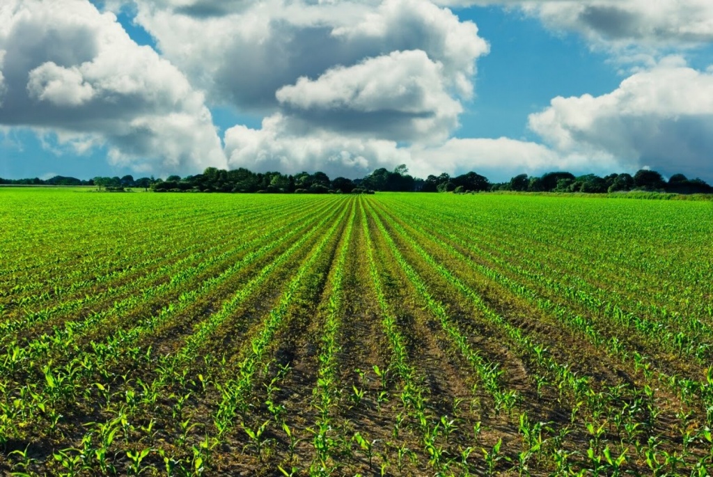 Crop на русском