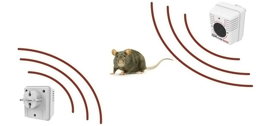 Вы сможете разместить ГРАД 505 в любом удобном для вас месте