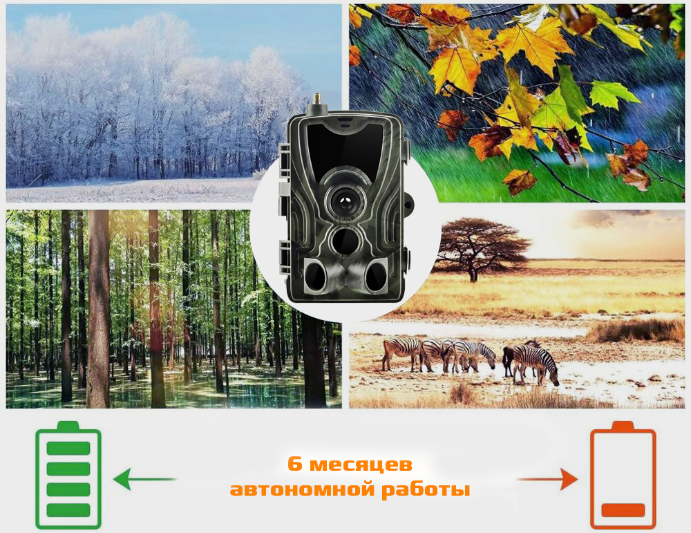 801LTELIavtonomnyraboty.jpg