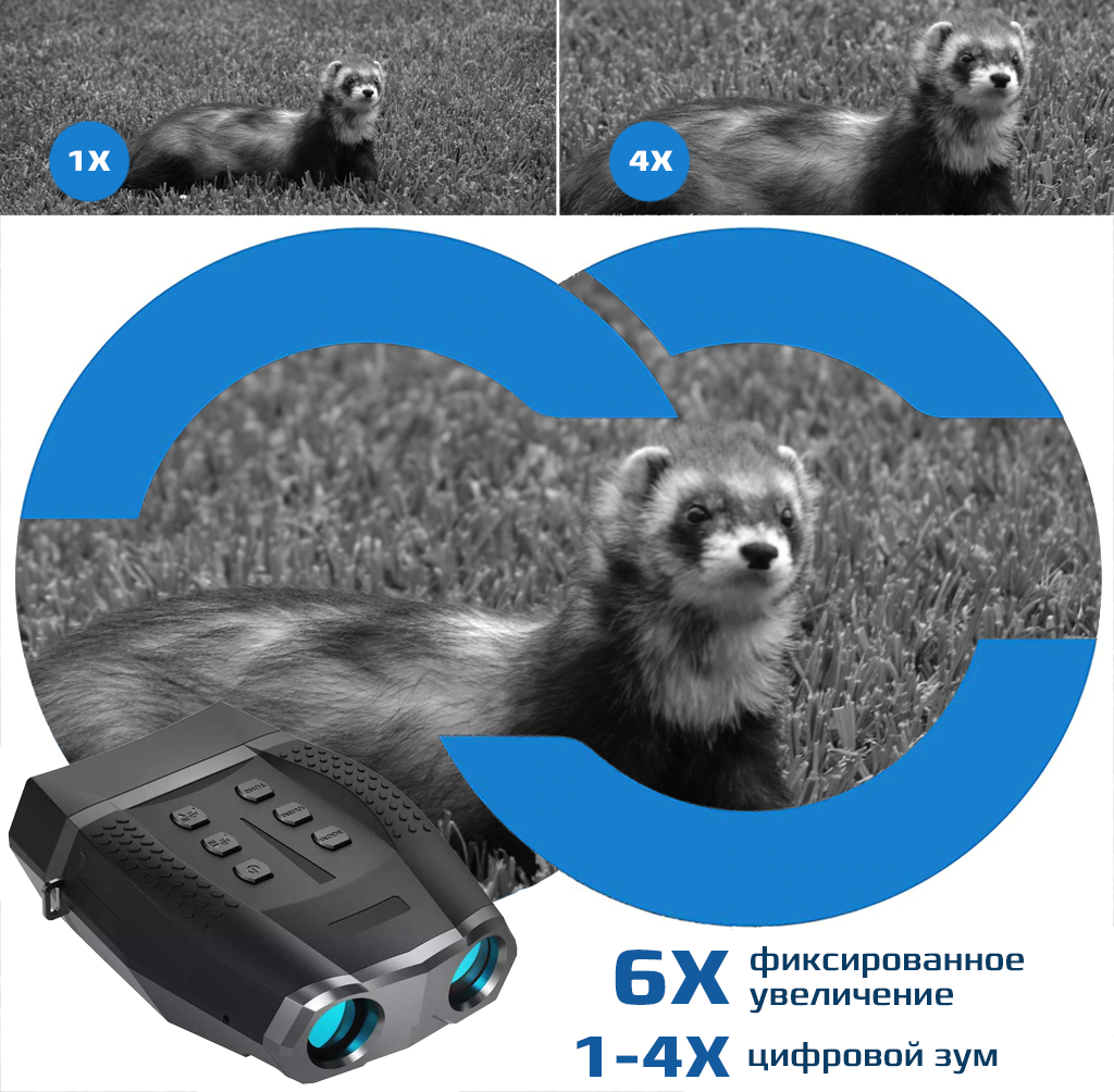NV5100 zoom.png