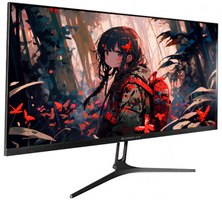 Chigo Display 24" IPS  2560*1440 180Hz (F24-Q180B2) Black