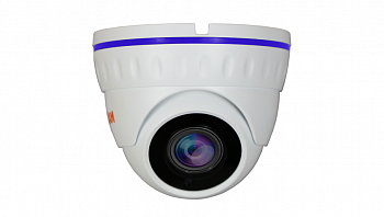 Муляж CARCAM CAM-1889P