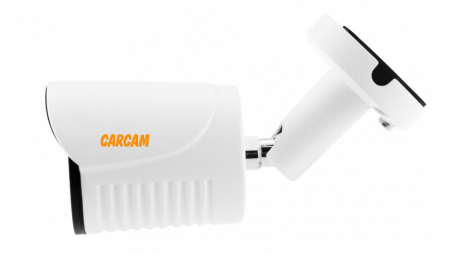 Муляж CARCAM CAM-801 Муляж CARCAM CAM-801