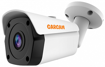 Муляж CARCAM CAM-2897PSD