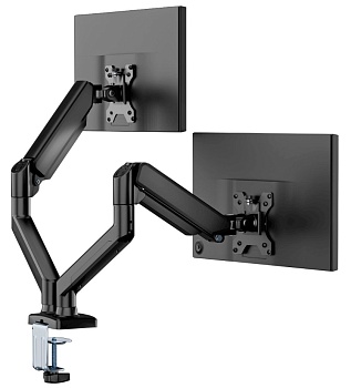 Dual Monitor Stand (DM2921)