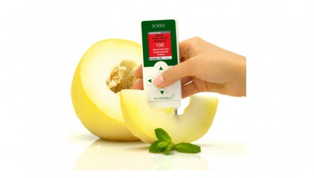 СОЭКС Экотестер 2