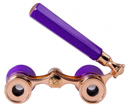 Levenhuk Broadway 325L Amethyst