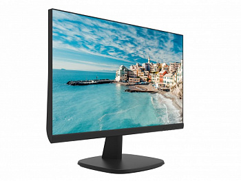 HikVision DS-D5022FN-C