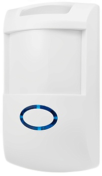 CARCAM Wireless Pet Immune PIR Detector 810WF