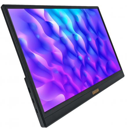 CARCAM 15.6'' IPS 1080P 60Hz Portable Monitor Type-C*2 miniHDMI for PC Laptop Phone (CCEP156FA)