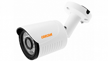 Муляж CARCAM CAM-701