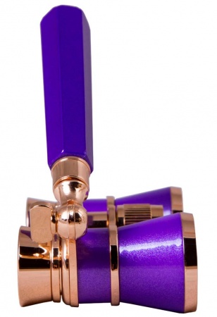 Levenhuk Broadway 325L Amethyst