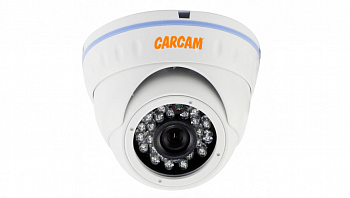 Муляж CARCAM CAM-832