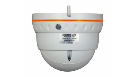 Муляж CARCAM CAM-1890VP