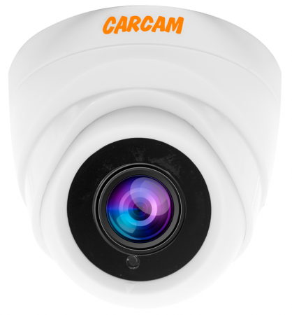 Муляж CARCAM CAM-526