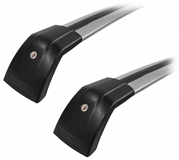 CARCAM RAIL 8131 1000 мм