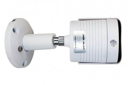 Муляж CARCAM CAM-2892P